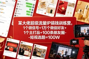某大佬流量IP训练营：1个微信号+1万个好友+1个主打品+100条朋友圈，轻松变现100W