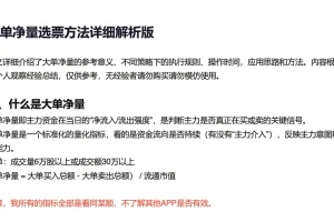 红泡泡冲：大单净量选票方法详细解析与实战指南