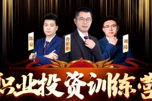 职业投资训练营：系统提升投资技能与实战策略