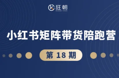抖音小红书视频号带货实战：短视频与直播变现技巧（11-21期合集）插图