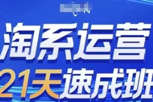 白凤电商淘系运营21天速成班，0基础入门实战技巧，轻松掌握核心运营方法