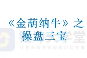 平步陈建平《金葫纳牛・操盘三宝》强基班付费学员指标课程详解