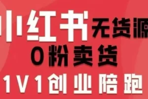 爱野佩佩小红书无货源0粉电商课:开店准备、选品策略、笔记撰写与视频剪辑全攻略