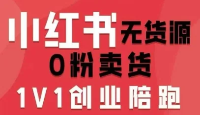 爱野佩佩小红书无货源0粉电商课：开店准备、选品策略、笔记撰写与视频剪辑全攻略插图