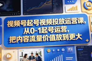 视频号起号运营课：从0到1高效投放，最大化内容流量价值