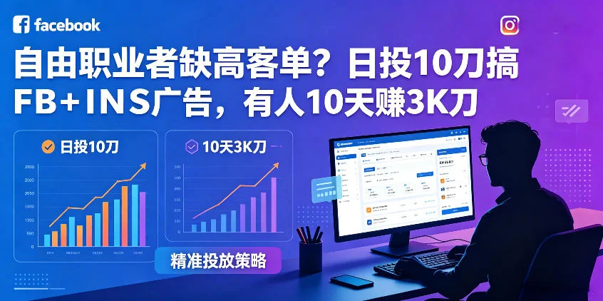 自由职业者如何提升高客单价？日投10刀Facebook+Instagram广告，10天赚3000美元实战教程【中英字幕】插图