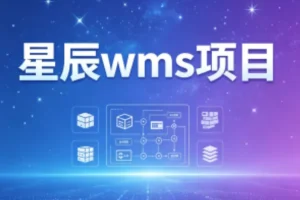 星辰WMS项目详解:智能仓储管理系统功能与应用指南