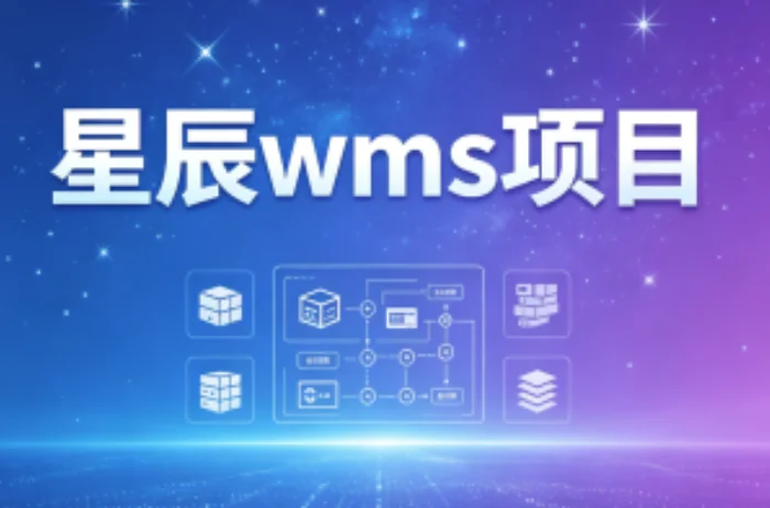 星辰WMS项目详解:智能仓储管理系统功能与应用指南插图 星辰WMS项目详解:智能仓储管理系统功能与应用指南插图