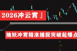 2026冲云霄套装擒龙指标：精准捕捉突破起爆点，电脑手机通用源码分享