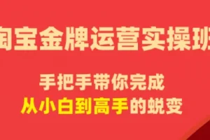淘宝金牌运营实操班：飓风电商手把手教你提升店铺销量