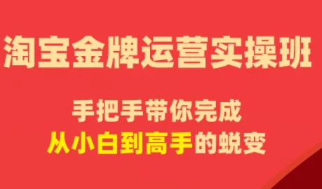 淘宝金牌运营实操班：飓风电商手把手教你提升店铺销量插图