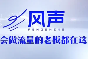 董十一风声短视频AI获客年度会员：高效智能引流实战课程