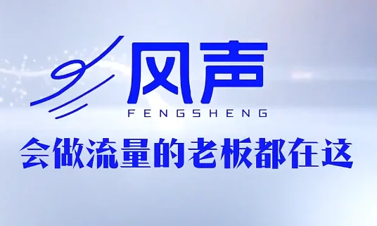 董十一风声短视频AI获客年度会员：高效智能引流实战课程插图