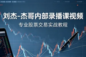 刘杰杰哥投资分析技术内部录播课（20集全）