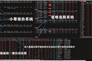 竞价接力系统：小草竞价低吸二合一选股，暗盘资金一键选股技巧