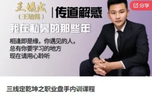 三线定乾坤：职业盘手内训课程实战技巧与交易策略解析