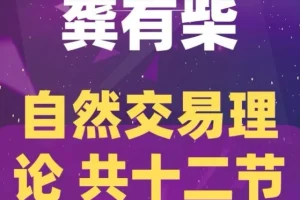 龚有柴自然交易理论详解：核心原理与应用指南