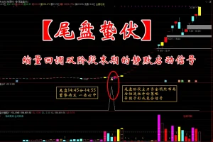 通达信【尾盘蛰伏】主副图选股指标：缩量回调末期静默启动信号解析