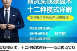 刘子阳期货实战操盘术：十二种模式详解与顶点极点中级应用课程