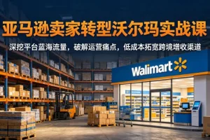 亚马逊卖家转型沃尔玛实战指南：挖掘蓝海流量，破解运营痛点，低成本拓宽跨境增收渠道