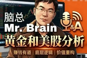 脑总Mr.Brain黄金与美股投资分析课程：实战策略与趋势解读
