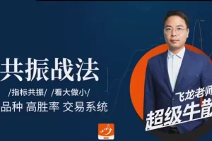 飞龙交易进阶课：掌握共振战法，提升交易胜率技巧