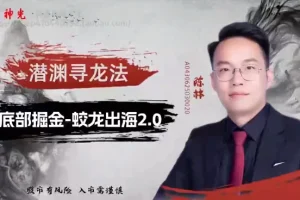 神光陈林底部擒龙连板战法系统课:龙头股实战技巧+指标资料