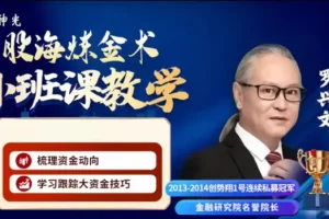 神光陈林罗兴文股海炼金术实战小班课:掌握股票投资核心技巧