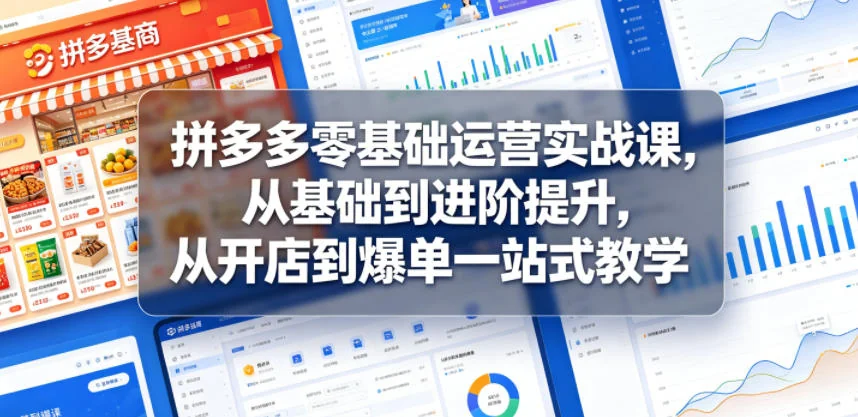 拼多多零基础运营实战课:开店到爆单一站式教学,从入门到进阶提升插图 拼多多零基础运营实战课:开店到爆单一站式教学,从入门到进阶提升插图