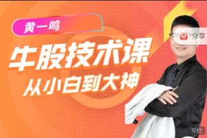 黄一鸣《牛股技术》15节实操课:掌握选股技巧与投资策略