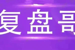 复盘哥干货课程:走势终完美之错杀解析,量化启动标准与尾盘高潮套利技巧