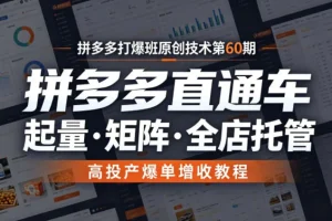 拼多多打爆班第60期：直通车起量+矩阵全店托管，高投产爆单增收实操教程