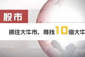 泽平宏观VIP会员：股市大牛市投资策略，14个视频助你挖掘大牛股
