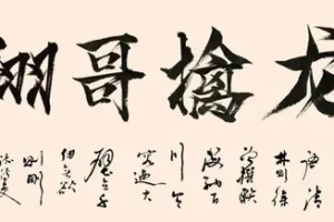 翔哥擒龙:逻辑为王训练营,掌握交易核心技巧与实战策略