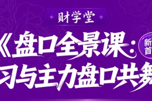 雨禾《盘口全景课》:掌握主力盘口语言,实战提升交易技巧