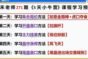 雨禾小牛特训营5天公开课:快速提升实战技能,助你轻松入门