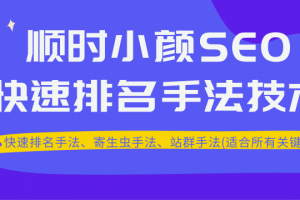 顺时小颜SEO快速排名手法技术教程、寄生虫手法、站群手法(适合所有关键...