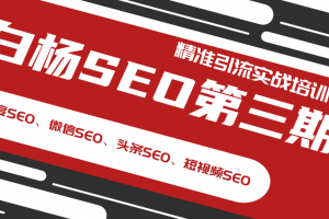 白杨SEO第三期精准引流实战培训（百度SEO、微信SEO、头条SEO、短视频S...