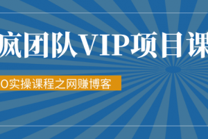 暴疯团队VIP赚钱项目教程之（SEO实操课程之网赚博客）