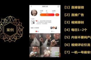 微商百度霸屏玩法和短视频批量引流玩法（课件+录音）