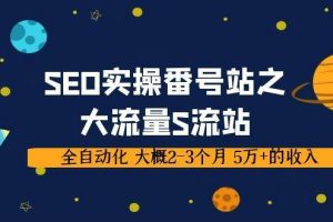 SEO实操项目番号站之大流量S流站，全自动化 大概2-3个月 5万+的收入