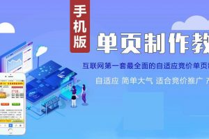 单页网站制作，单页优化及推广技术教程（操作项目必备）