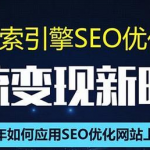 SEO搜索引擎优化总监实战VIP课堂【透析2020最新案例】