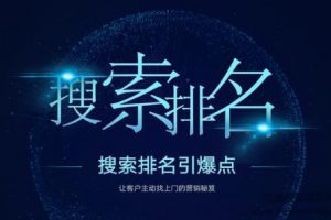 王通搜索排名引爆点：教你快速掌握各个搜索引擎排名算法，让客户主动找...