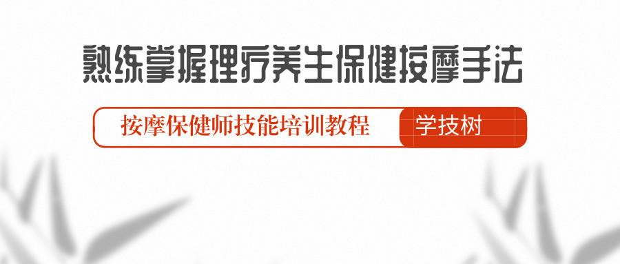 熟练掌握理疗养生保健按摩手法-10套保健按摩手法视频教程合集下载