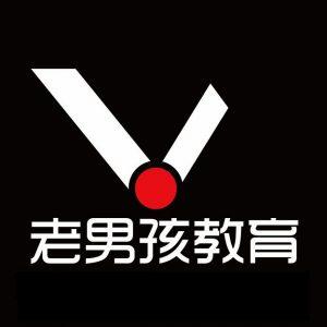 Go(Golang)语言入门到精通，WEB编程项目实战 25G