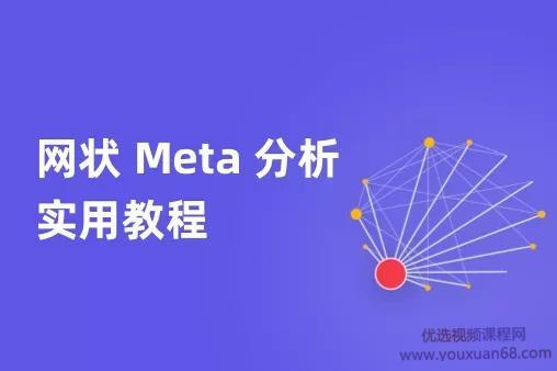网状Meta分析实用教程