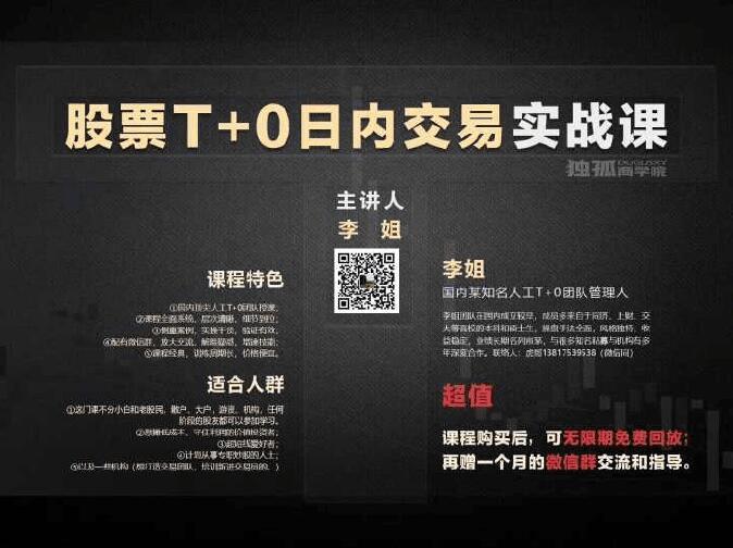 李姐《股票T+0日内交易培训战法》视频课