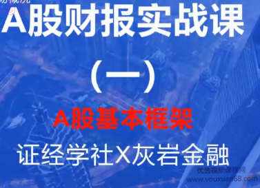 跟巴菲特学看上市公司财务报表 A股财报实战课