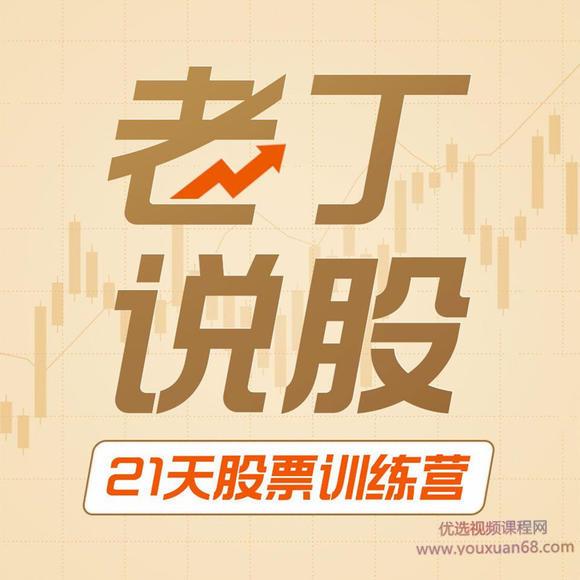 老丁说股21天训练营 21PDF讲义